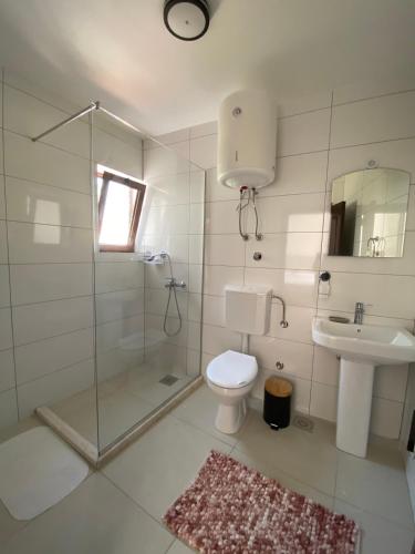 a bathroom with a shower and a toilet and a sink at Guesthouse Nesa in Ulcinj