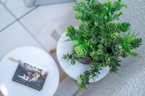 Afbeelding uit fotogalerij van Alo viajante in Sorocaba