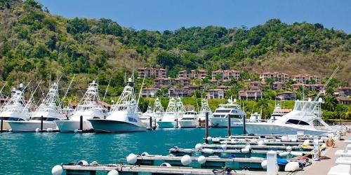 a bunch of boats docked in a marina at Intimate Earthy Vibe - Bedroom in a Tropical Paradise in Herradura