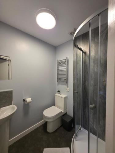a bathroom with a toilet and a sink and a shower at The Railway Inn in Kyle of Lochalsh