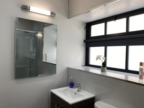 a bathroom with a sink and a mirror at Sun Valley Retreat in Milton