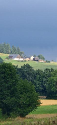 a green field with trees and houses in the background at Burgblick in Kemnath