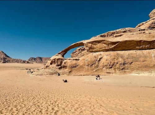Φωτογραφία από το άλμπουμ του Neom Wadi Rum Camp σε Disah