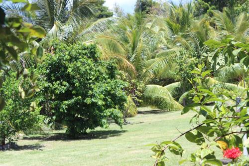 Jardín al aire libre en Residence Les Cayalines