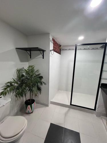 a bathroom with a toilet and a plant in it at La casona de la loma Ibague in Ibagué