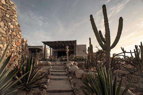 Φωτογραφία από το άλμπουμ του Desierto Azul Boutique Hotel σε Todos Santos