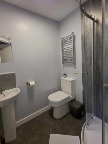 a bathroom with a toilet and a sink and a shower at The Railway Inn in Kyle of Lochalsh