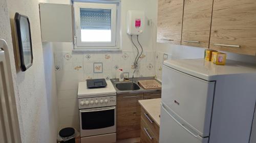 Kuchyň nebo kuchyňský kout v ubytování Apartman Vesna