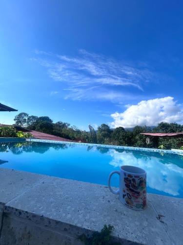 a coffee mug sitting next to a swimming pool at La casona de la loma Ibague in Ibagué