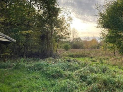 Gallery image of 4 person holiday home in Faxe Ladeplads-By Traum in Fakse Ladeplads