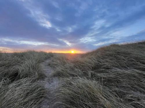 a field of tall grass with the sunset in the background at 6 person holiday home in Thisted-By Traum in Torsted