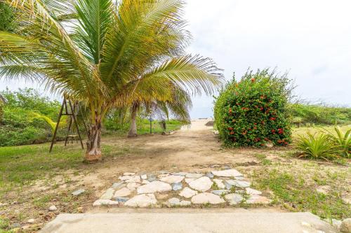 a dirt road with a palm tree and a bush at CasaPiedra in Puerto Escondido