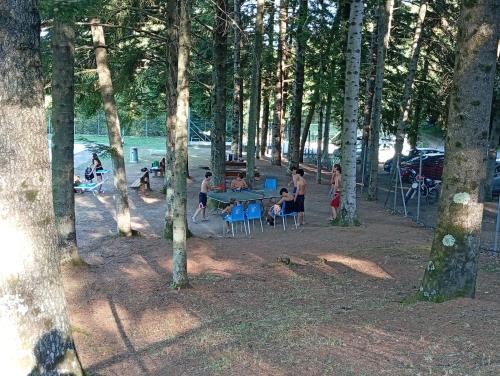 a group of people sitting around a picnic table in the woods at Sunflower in Tavarone