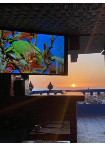 a television screen with a monkey on a tree at hostel SmiGle in Tamraght Oufella