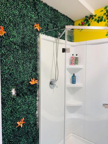 a shower in a bathroom with a green wall at Los Dos- Talavera and Sandia in Salem