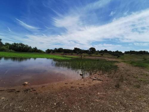 a body of water with grass and trees in the background at Villa in Vidauban with Pool & Vineyards Nearby in Vidauban