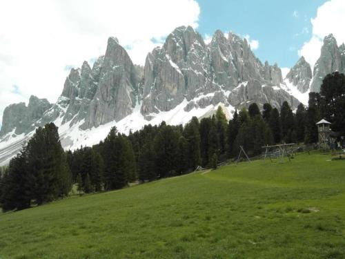 a mountain range with a green field and trees at Modern Apartment, Bressanone in Bressanone