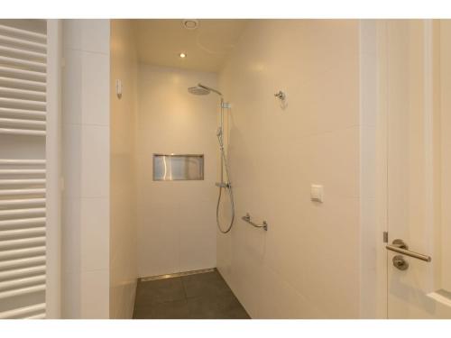 a bathroom with a shower stall and a shower at Holiday Home in Dishoek near Beach & Dunes in Dishoek