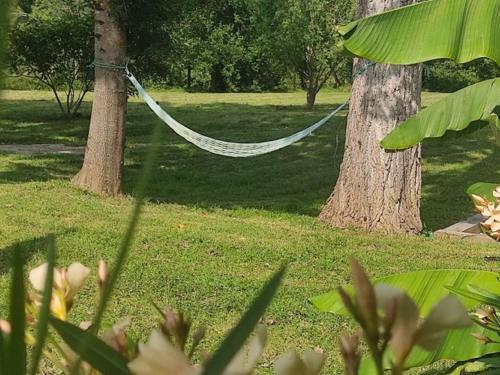 a hammock hanging between two trees in a park at Chalet sur pilotis avec terrasse pour 4 personnes - API-1-52-496 in Moncrabeau