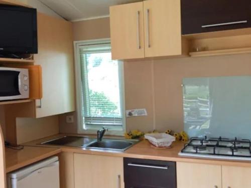 Gallery image of Mobil-home confortable avec terrasse pour 6 personnes - API-1-52-543 in Lempdes sur Allagnon