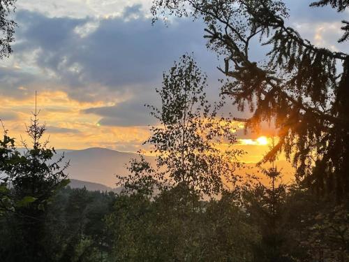 a sunset with the sun shining through the trees at Holiday Home in Edlitz near Ski Slopes in Edlitz