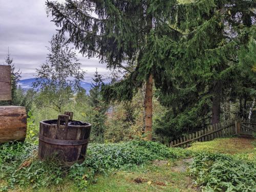 a barrel sitting in the grass next to a tree at Holiday Home in Edlitz near Ski Slopes in Edlitz