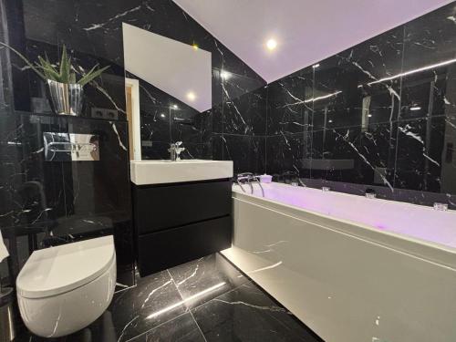a bathroom with a toilet and a sink and a tub at Somptueuse villa Basque avec vue sur la Rhune et grand jardin - FR-1-239-1145 in Urrugne