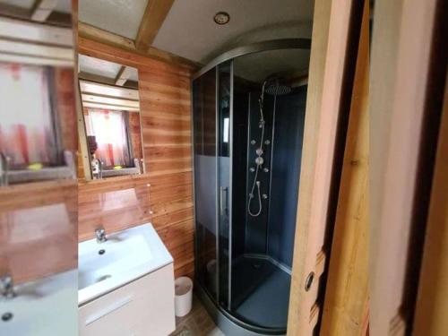 a bathroom with a shower and a sink at Chalet pour 5 pers avec Terrasse - API-1-52-634 in Les Grandes-Ventes