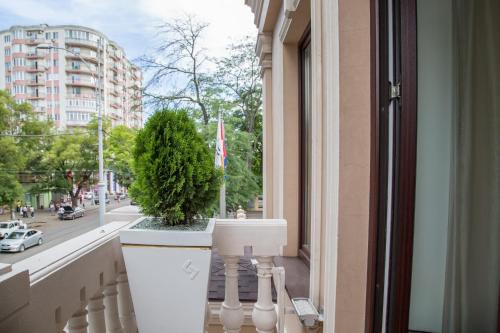 a window of a building with a potted plant on a balcony at De Volan Boutique Hotel in Odesa