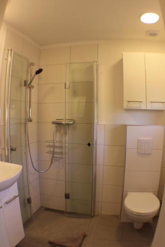 a bathroom with a shower and a toilet at Ferienhaus Sonneck in Klockenhagen