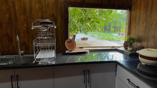 a kitchen sink with a dish drying rack and a window at Fortyard Cottages Hunza in Karimabad Hunza
