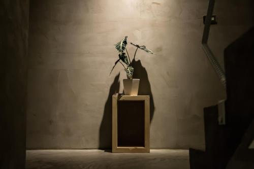 Fotografie z fotogalerie ubytování Shaoguang 188 v destinaci Yuchi