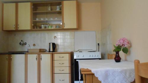 Η κουζίνα ή μικρή κουζίνα στο Apartment and Rooms Novka