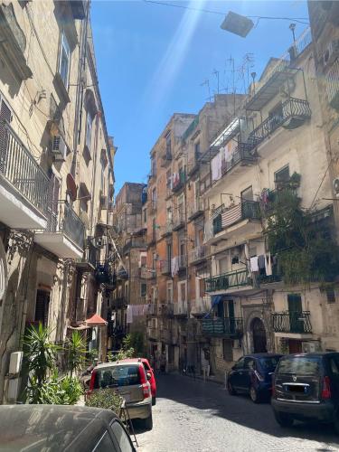 NAPOLI civico 190
