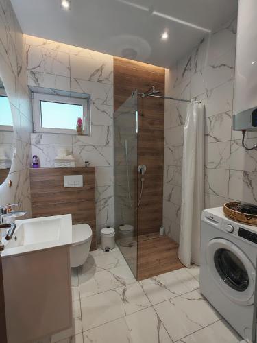 a bathroom with a sink and a washing machine at POOL RESORT Vila Lena - Lux residence apartman 1 in Vrdnik
