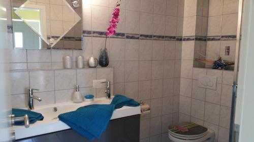 Ένα μπάνιο στο Ferienwohnung Schusi Freital
