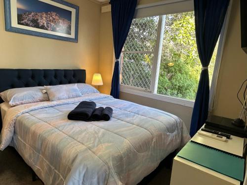 Fotografie z fotogalerie ubytování Canberra Hospital Blue Daisy- Sleep & Go v destinaci Phillip