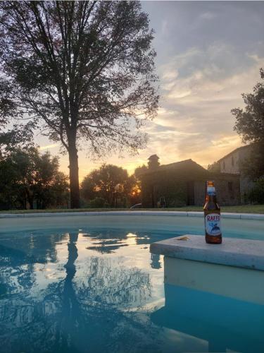 a bottle of beer sitting next to a swimming pool at Romantic cozy house 15 min Arezzo piscina&bosco in Falciano