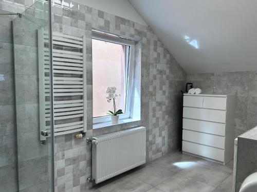 Fotografie z fotogalerie ubytování AP Apartament v Krakově