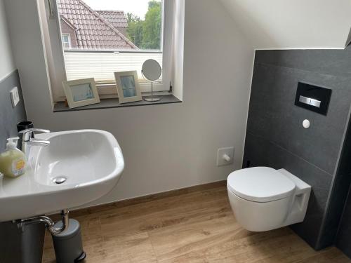 a bathroom with a sink and a toilet and a window at Saniertes Penthouse im Park am Goitzschesee in Bitterfeld