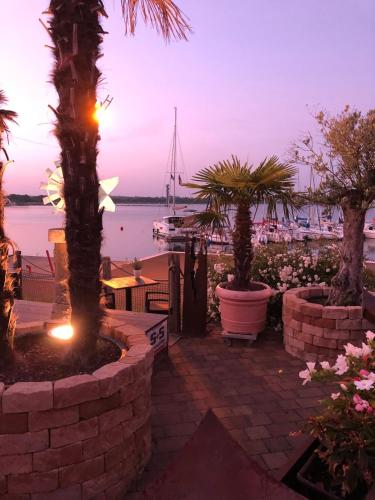a group of palm trees in pots with a marina at Saniertes Penthouse im Park am Goitzschesee in Bitterfeld