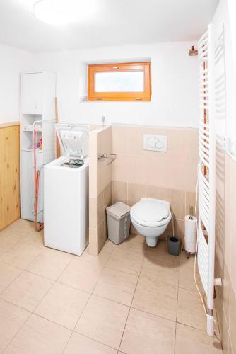 a bathroom with a toilet and a sink at Na Chaloupce in Kladky