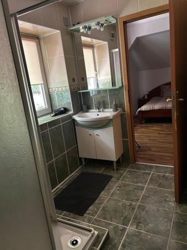 a small bathroom with a sink and a shower at Villa Zetta in Braşov