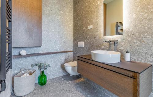 a bathroom with a sink and a toilet at Cozy Home In Medulin in Medulin