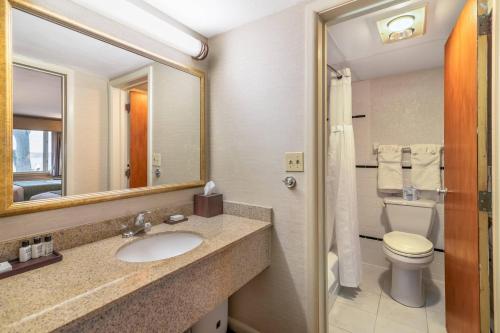 a bathroom with a sink and a toilet and a mirror at The Inn at Gran View Ogdensburg, an Ascend Collection Hotel in Ogdensburg