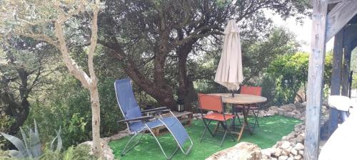 Κήπος έξω από το Studio 2 pers Haut Var