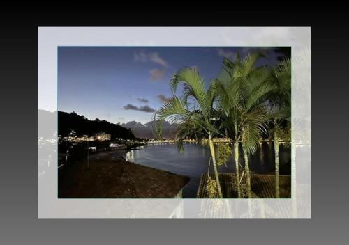 a picture of a river with palm trees at Pousada Prainha do Horizonte in São Vicente