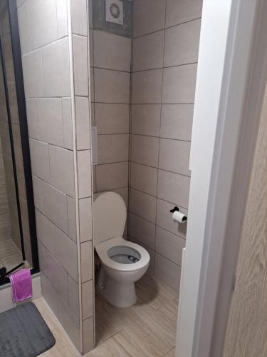 a small bathroom with a toilet in a stall at Moderní apartmán s balkonem v srdci Pardubic in Pardubice