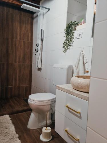 a bathroom with a toilet and a sink at Somló Nordic in Somlószőlős