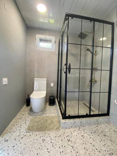 a bathroom with a shower and a toilet in it at Guest House Chalistavi in Chalist'avi
